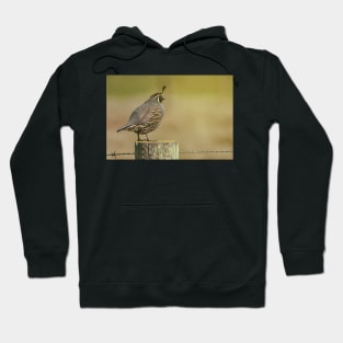 CA Quail Hoodie